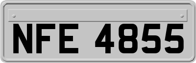 NFE4855