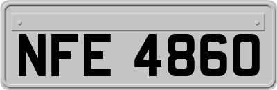 NFE4860