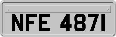 NFE4871