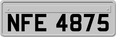 NFE4875