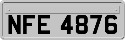 NFE4876