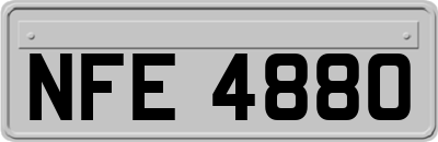 NFE4880
