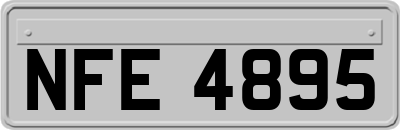NFE4895