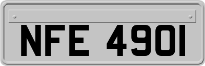 NFE4901