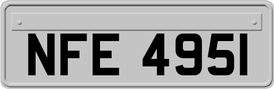 NFE4951