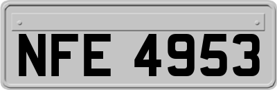 NFE4953