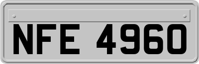 NFE4960