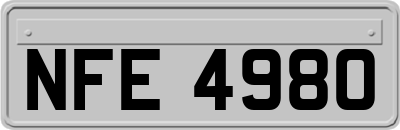 NFE4980