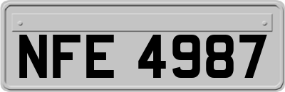 NFE4987