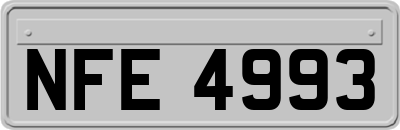 NFE4993