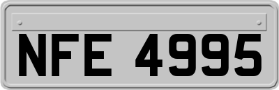 NFE4995