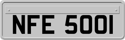 NFE5001