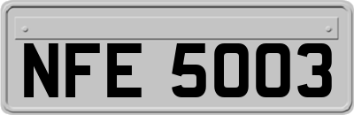 NFE5003
