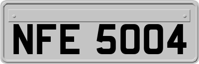 NFE5004