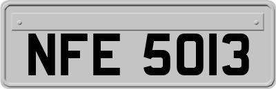 NFE5013