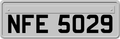 NFE5029
