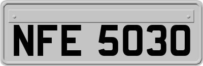 NFE5030