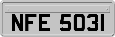 NFE5031