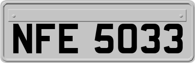 NFE5033