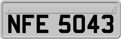 NFE5043