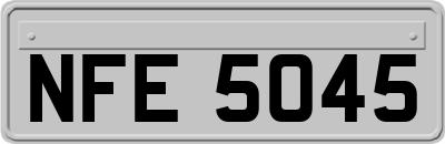 NFE5045
