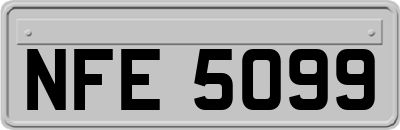 NFE5099