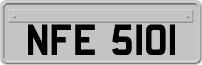 NFE5101