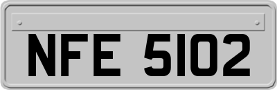 NFE5102