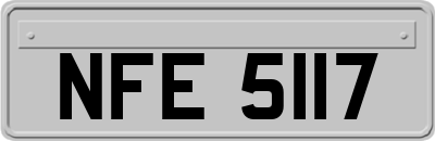 NFE5117