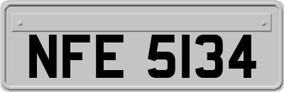 NFE5134