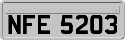 NFE5203