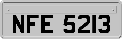 NFE5213
