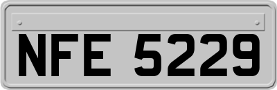 NFE5229