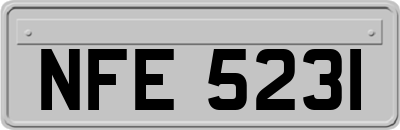 NFE5231