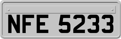 NFE5233