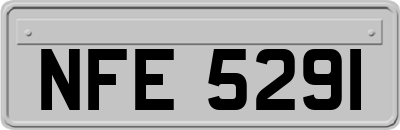 NFE5291