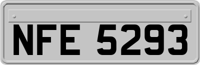 NFE5293