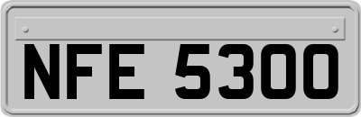NFE5300