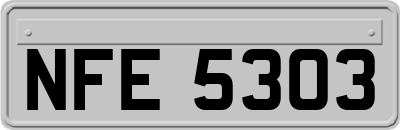 NFE5303