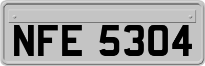NFE5304