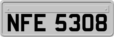 NFE5308