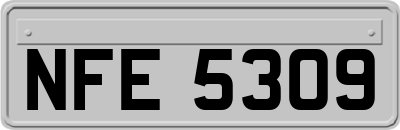 NFE5309