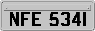 NFE5341