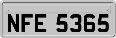 NFE5365