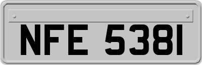 NFE5381