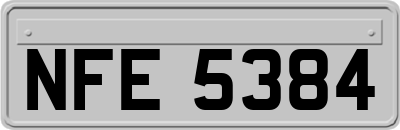 NFE5384