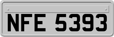 NFE5393