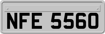 NFE5560