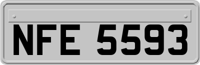 NFE5593