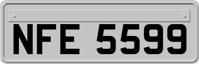 NFE5599